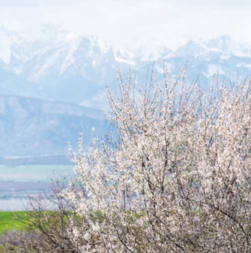 Хороскоп за събота 11 април 2026 г.