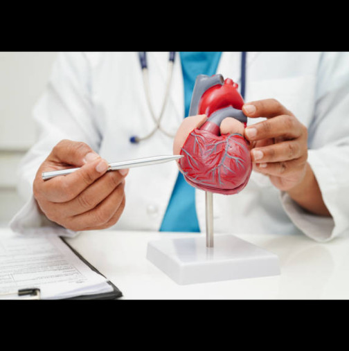 "Може да си на 40 и да имаш 60-годишно сърце": Кардиолог разкри какво означава това и как да го подмладим