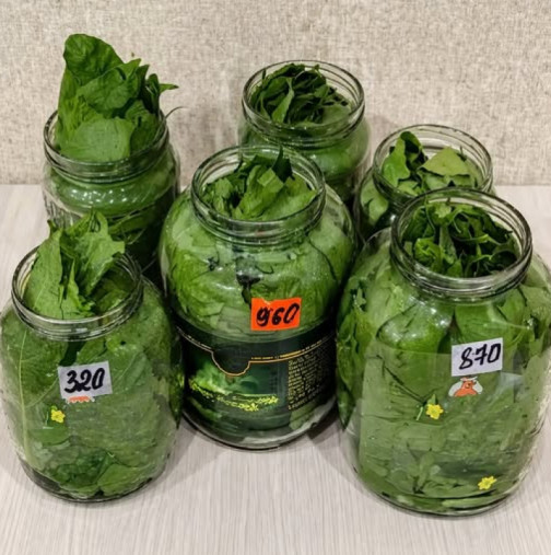 Който ги има в градината, не трябва да се тревожи за ВИСОКО КРЪВНО, разширени вени или алергии: Наберете тези листа през пролетта!