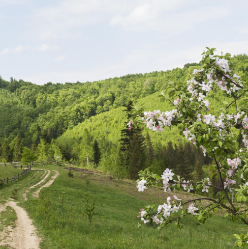 Хороскоп за неделя, 12 април 2026 г.
