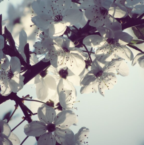 Хороскоп за днес 23 април 2026 г.