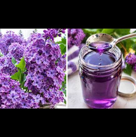 Пролетен сироп от люляк - нежно лекува гърлото, забавя стареенето, прогонва безсъние и ухае неземно!