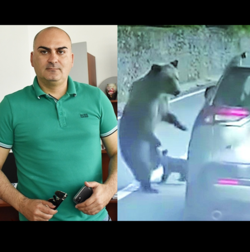 Нападнатият от мечка Георги Бижев с първи думи: "Стана страшно, ръката ми пострада най-тежко"