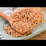 По-мощна от обикновената пшеница: Зърно, което подхранва червата, защитава сърцето и ви държи сити с часове