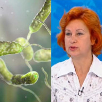Проф. Христова с важно предупреждение към летовниците: Не влизайте в морето с рани и пресни татуировки-Бактерия