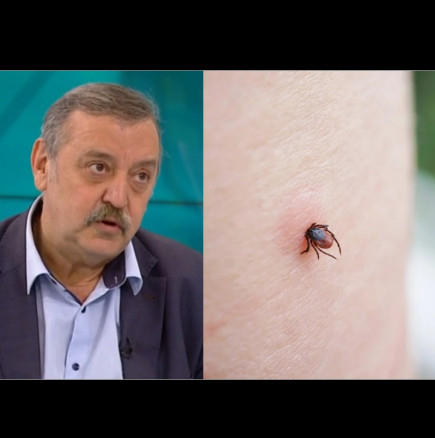 Проф.Кантарджиев предупреди: Много правят тази грешка при ухапване от кърлеж - ето какво се прави НАЙ-НАПРЕД