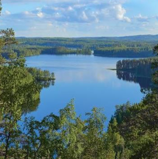 Хороскоп за петък 12 юни 2026 г.