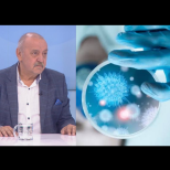 Проф.Кантарджиев с предупреждение за летните вируси: Един от 1000 болни може да развие вирусен енцефалит