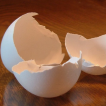 За какво биха могли да ви бъдат необходими счупени черупки от яйца?