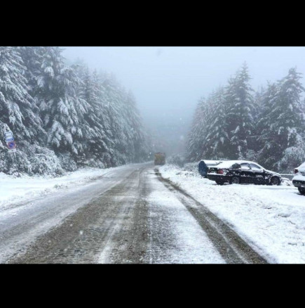 Снегът се завръща в понеделник! Синоптиците от MeteoBalkans с разочароваща прогноза: