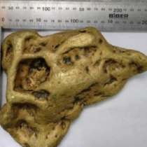 В петък 13-ти откриха огромен къс злато, с форма на ухото на Дявола, тежащ 6,66 кг 