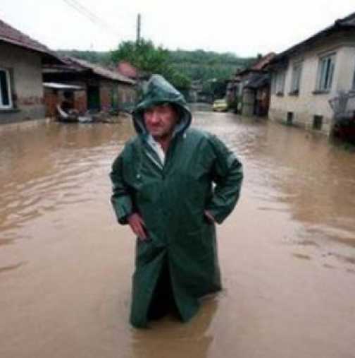 Трагедия и в Килифарево: Стотици удавени животни...