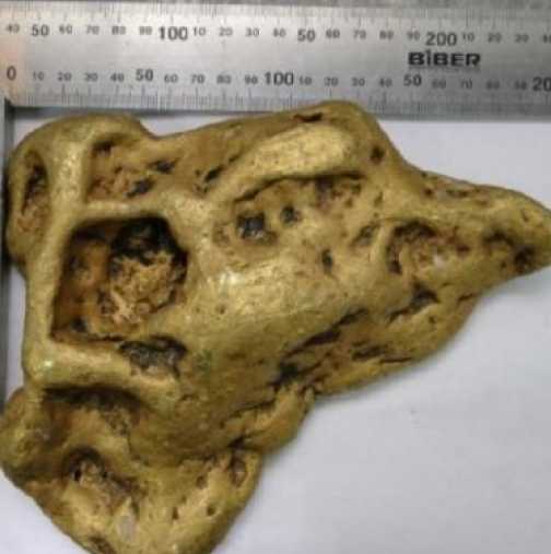 В петък 13-ти откриха огромен къс злато, с форма на ухото на Дявола, тежащ 6,66 кг 