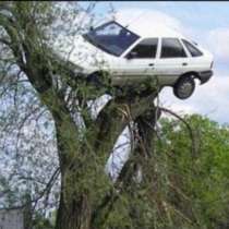 Автомобил мистериозно кацна на дърво
