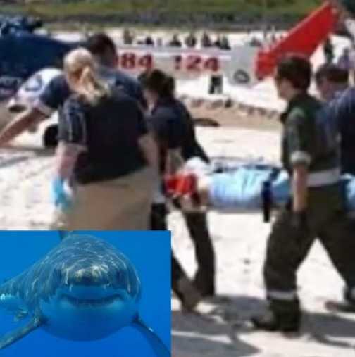 Бяла акула атакува хора на плажа - видео