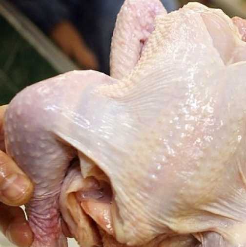 Откриха пилешко със салмонела в магазини в Пловдив