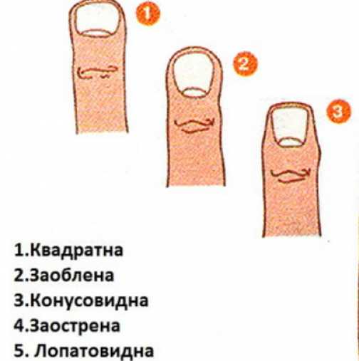 Тест на личността според формата на пръстите
