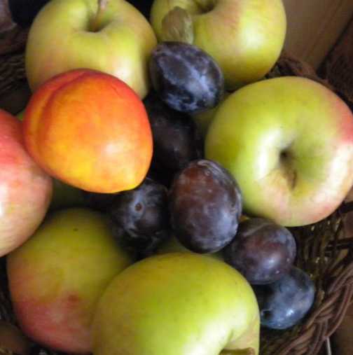 Хапвайте сини сливи или зелени ябълки преди основното хранене и няма да трупате излишни килограми
