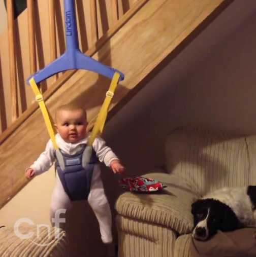 Mission Impossible: Бебе краде от куче