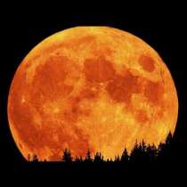 Не пропускайте тази нощ да погледнете към Луната и да наблюдавате явлението \