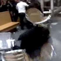 Мъж разби стол в главата на клиент в заведение