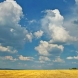 Прогноза за времето през август 