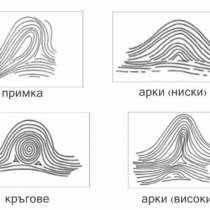 В линиите на пръстите са кодирани качествата на личността