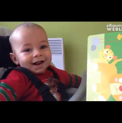 Ще паднете от смях, как това бебе реагира, когато за пръв път чува лъвския рев (Видео)