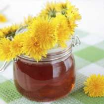 Мед от глухарче - бърза и лесна рецепта за вкусна и полезна сладост 