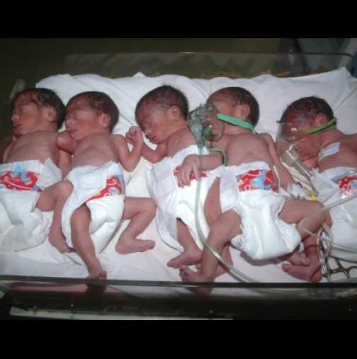 Пет бебета се родиха в бездетно семейство, очаквало чудото 16 години!  