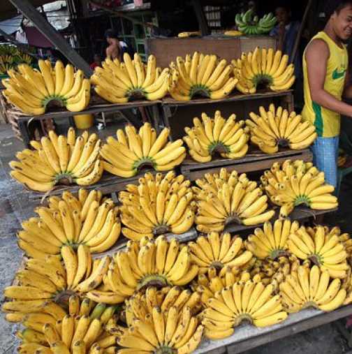 Вижте, как бананите понижават риска от инсулт