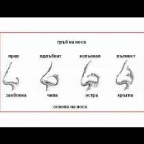 Какво означава формата на носа ви