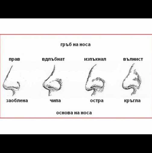 Какво означава формата на носа ви