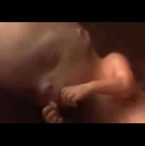 Фантастично пътуване през бременността само в три минути (Видео)