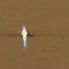 Мистериозен ангел заснеха на Марс
