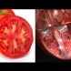 Коя храна какво лекува - невероятно, но показва самата й форма