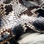 Есенно-зимна колекция обувки на Roberto Cavalli за 2012-2013