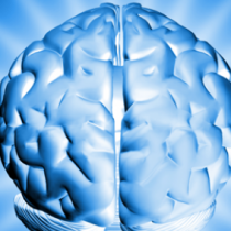 Учени откриха, кои храни стимулират паметта