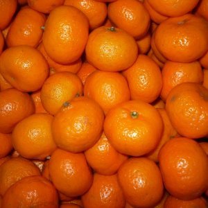 Малките слънчица през зимата-мандарините