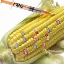 Голям бум на раковите заболявания- заради ГМО!