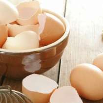 Черупките от яйца са лекарство за много болести - щитовидната жлеза, гастрит...