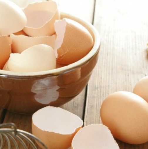 Черупките от яйца са лекарство за много болести - щитовидната жлеза, гастрит...