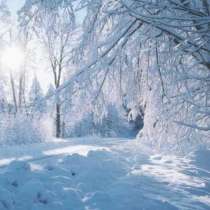 Прогноза за времето през декември: Сняг затрупва страната в началото на декември, а по Коледа ...