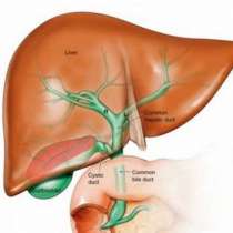 Прочистване на черния дроб по лесен начин