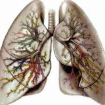 Ето как да почистите белите дробове за 3 дни