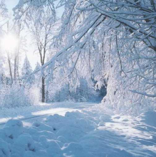 Прогноза за времето през декември: Сняг затрупва страната в началото на декември, а по Коледа ...