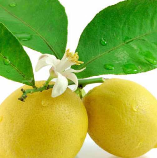 Кората от лимон лекува ставите: рецпта, след която ще се събудите без болка!