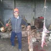 Потресамаща снимка на мъж от Кюстендил, който убива и дере бездомни кучета