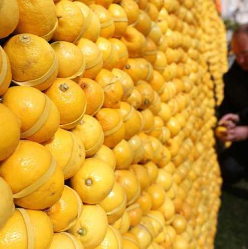 Лимони вместо химиотерапия и мощен ефект срещу кисти и тумори