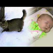 Котка спасява живота на изхвърлено бебе, като го топли с тялото си  